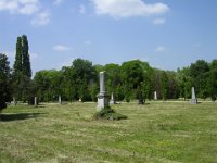 Kapy Antónia, Kapuvári